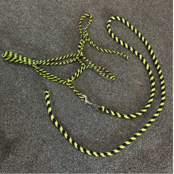 Braided halter and lead combo
