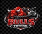 Bulls towing inc