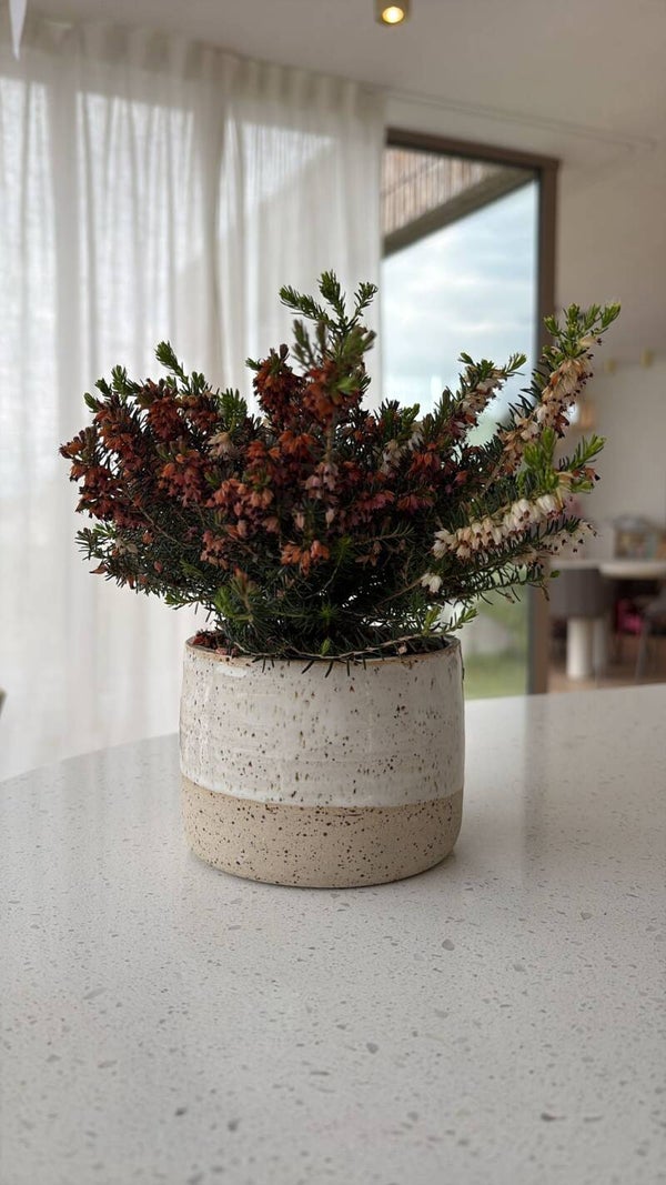 BLOEMPOTJE small