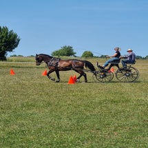 trainingaltlandsbergkegel.jpg