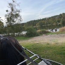 krebssee.jpg