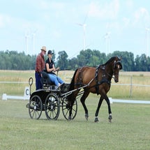 trainigaltlandsberg.jpg