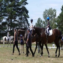 img_0282-standard.jpg