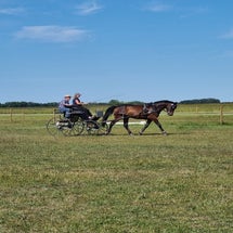 trainingaltlanberg2023.jpg