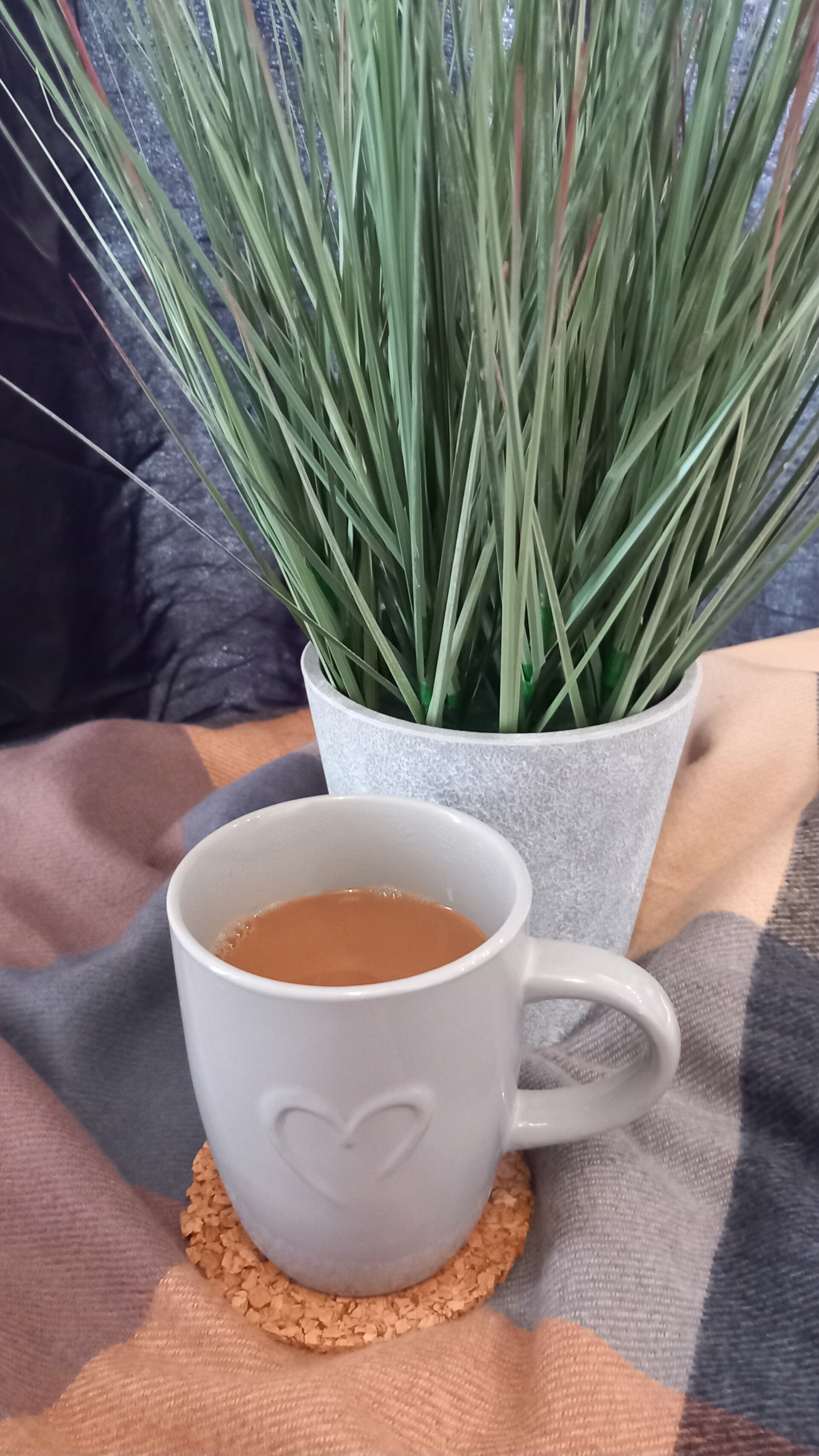 Mug of tea in front of plant showing ordinary life