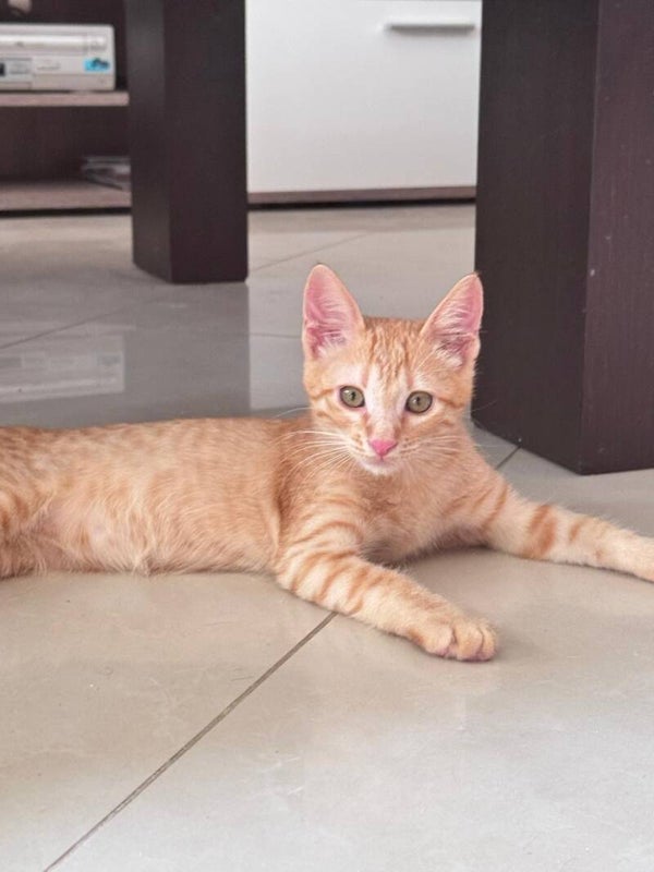 Peanut ♀️