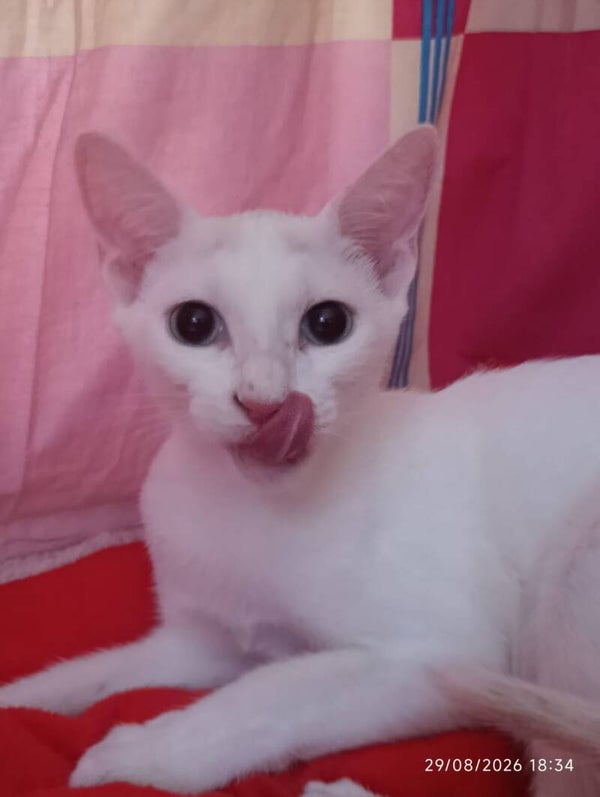 . ♀️