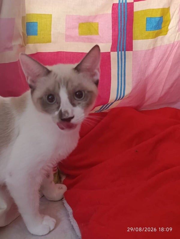 . ♀️