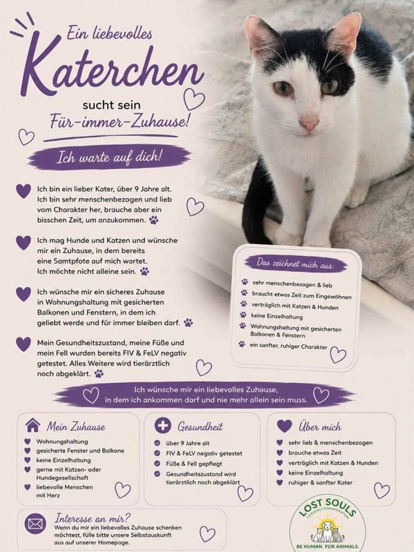 Katerchen ♂️