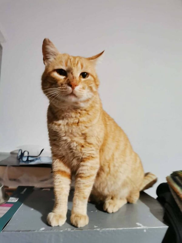 Gary ♂️