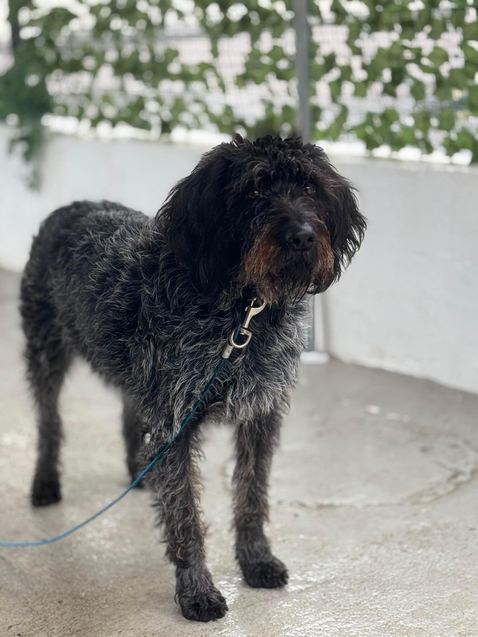 Aliki ♀️ *reserviert