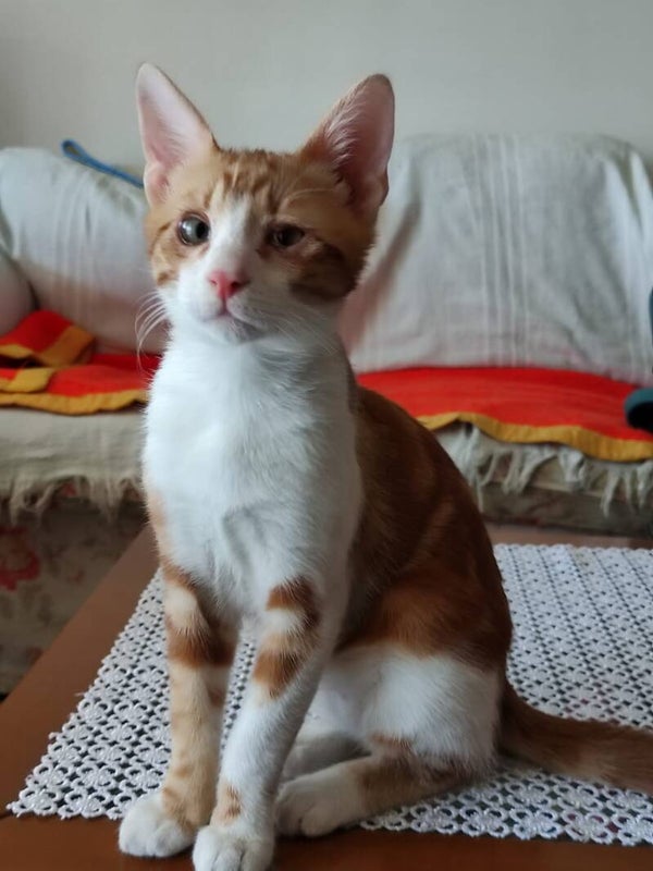 Marco ♂️