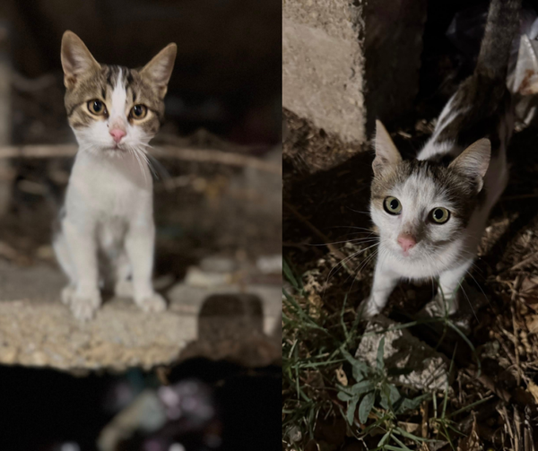 ♀️*NOTFALL*♂️