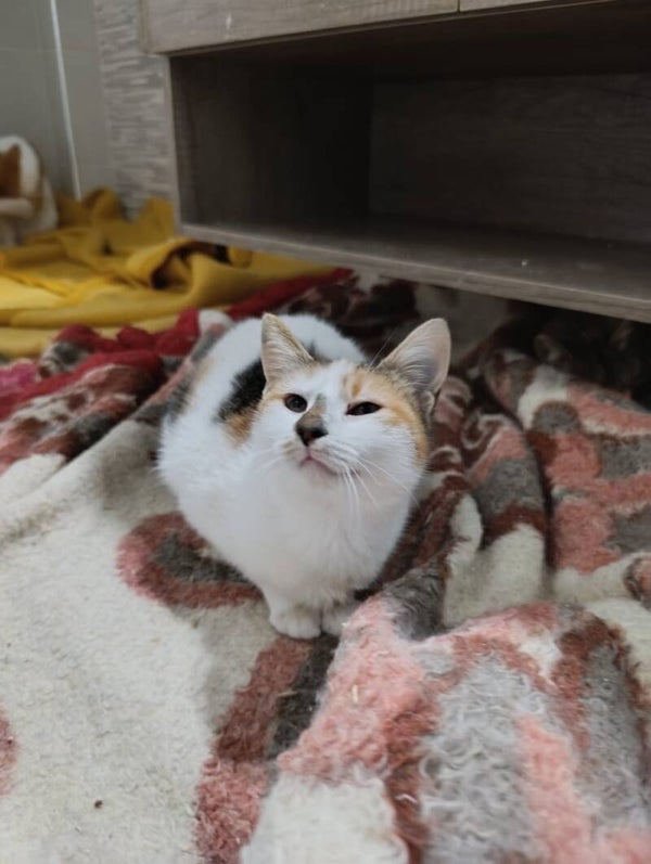 Laura  ♀️ *adoptiert