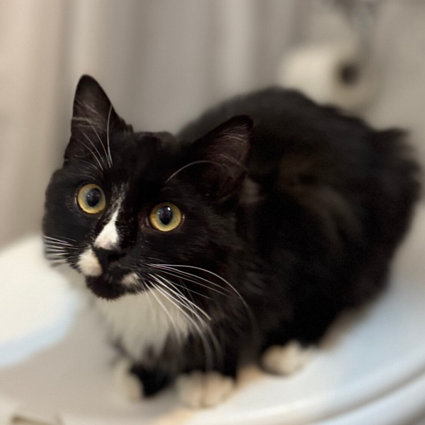 Jasmin ♀️ *verstorben 🌈