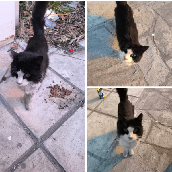 Tyra   ♀️ NOTFALL 🚨