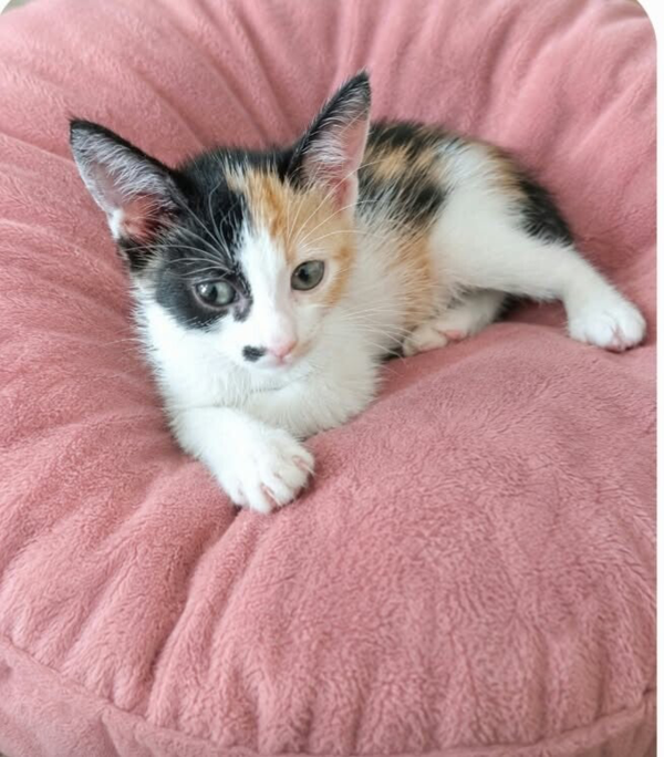 . ♀️