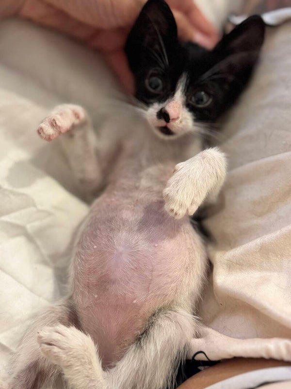 . ♀️