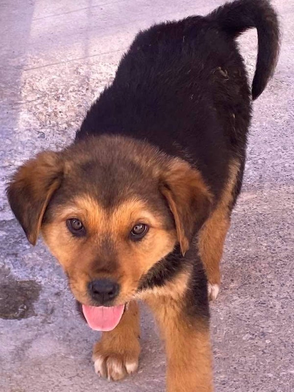 Rich ♂️ *adoptiert