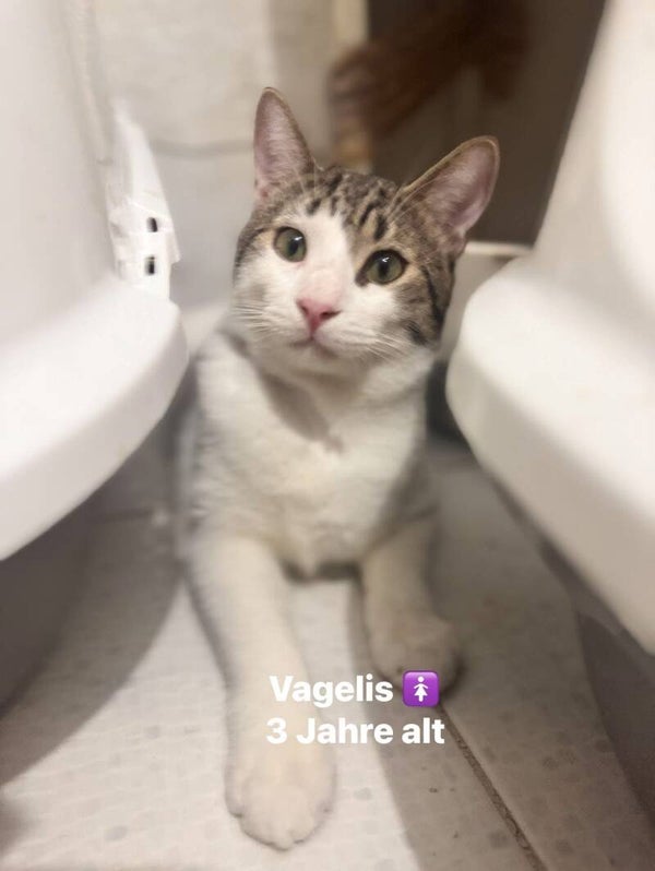 Vagelis