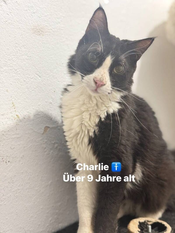 Charlie