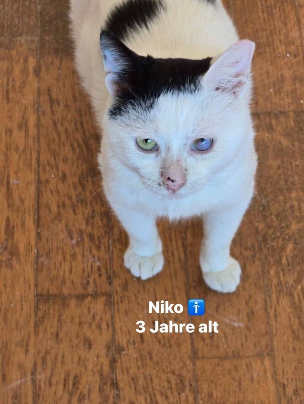 Niko