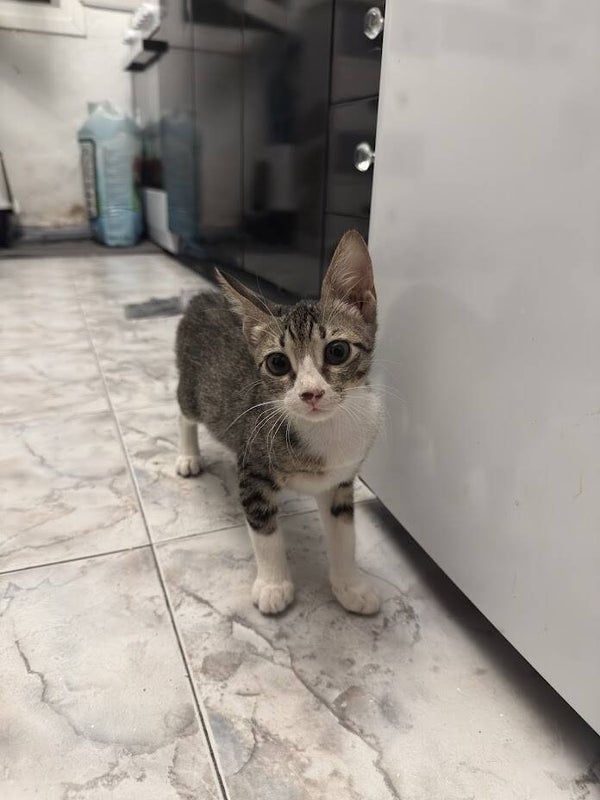 Lou ♀️ *adoptiert