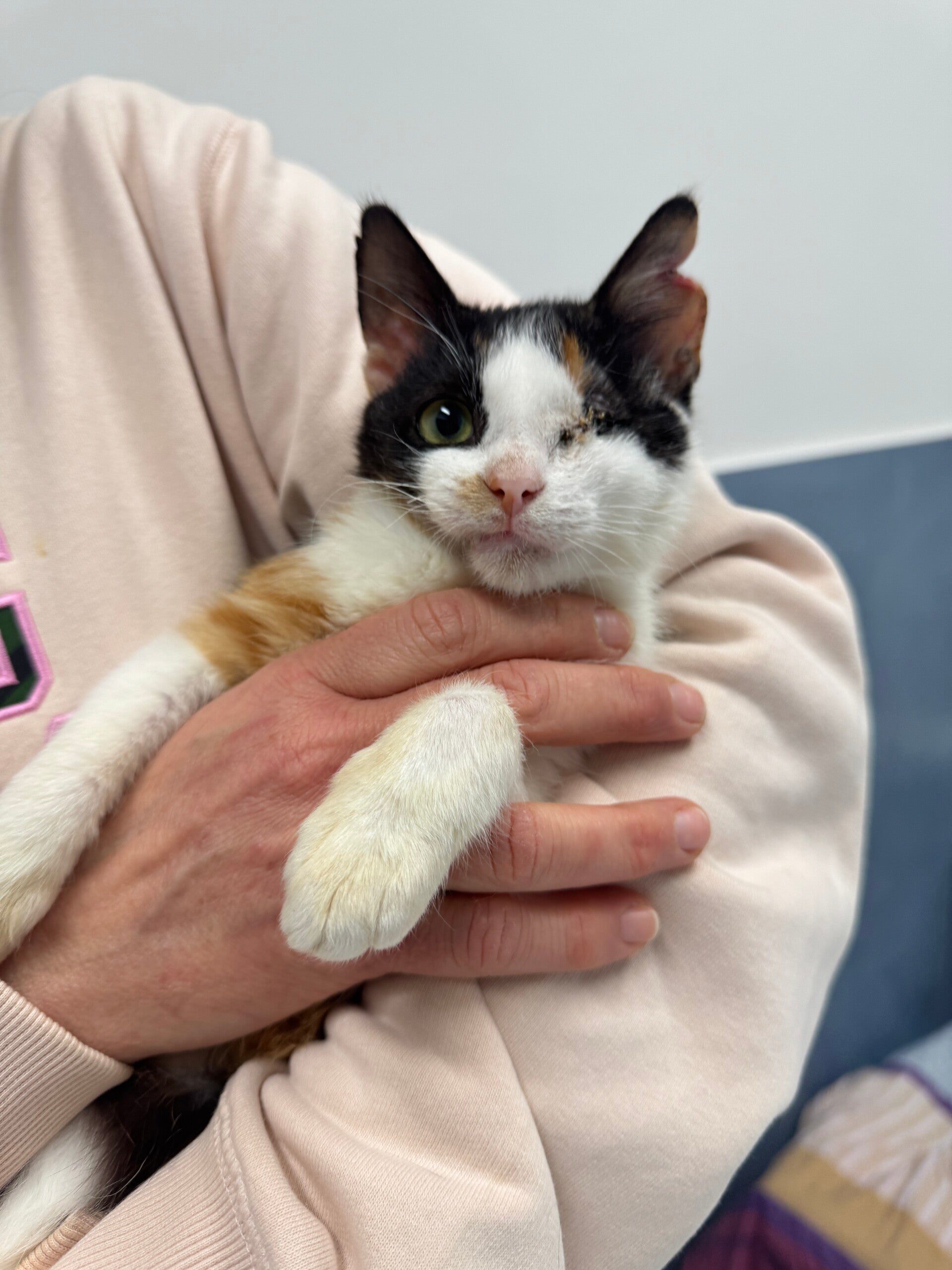 Beauty ♀️ *Handycap