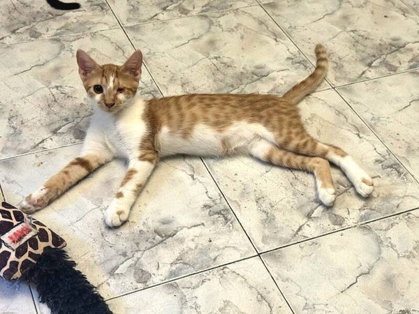 Winnie ♂️* adoptiert