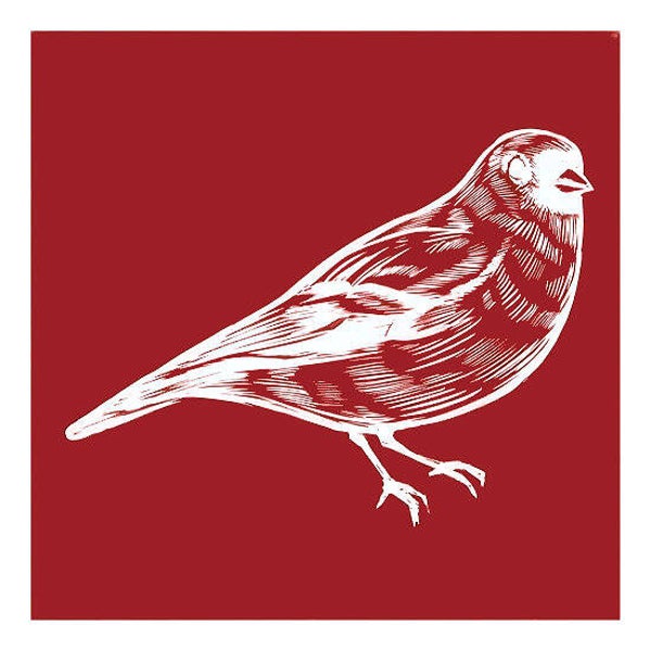 Creotime - Screen stencil - Vogel