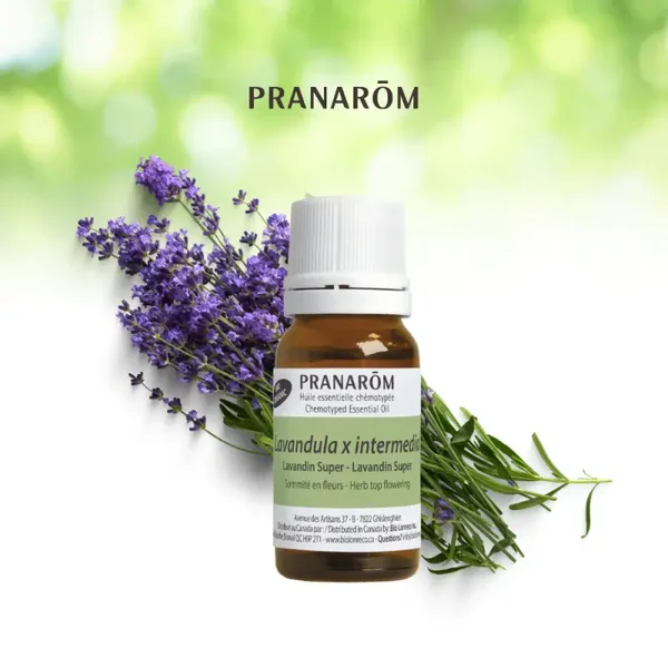 LAVANDIN SUPER 10 ML
