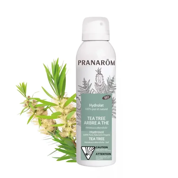 TEA TREE (ARBRE À THÉ)HYDROLAT BIO