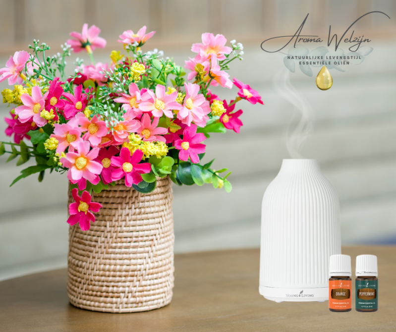 Adobe Mist Diffuser Aroma Wlzijn