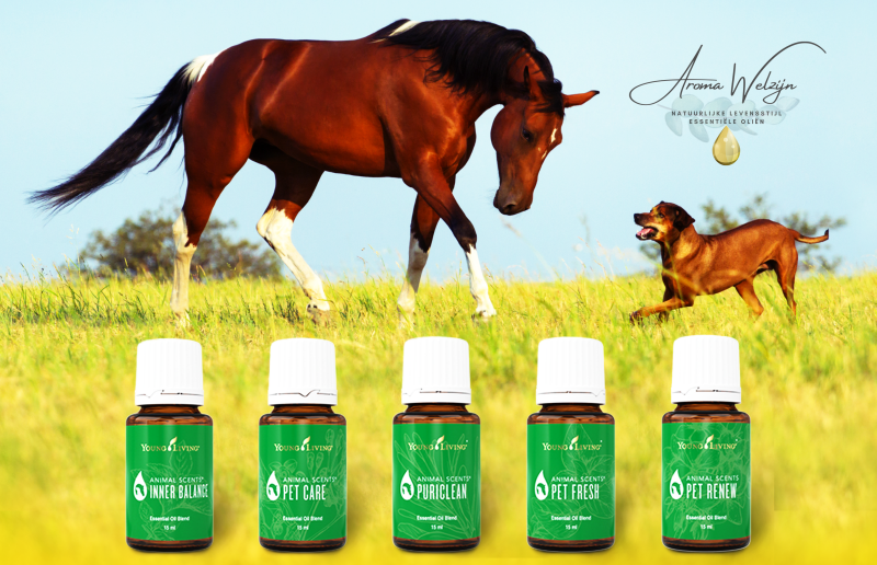 Aromawelzijn | Young Living Animal Scents