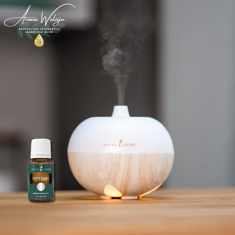 Aroma Globe Aroma Welzijn