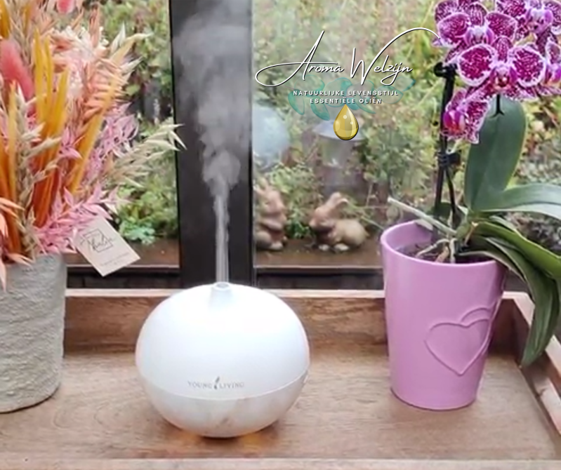 Aromawelzijn | Young Living Aroma Globe diffuser