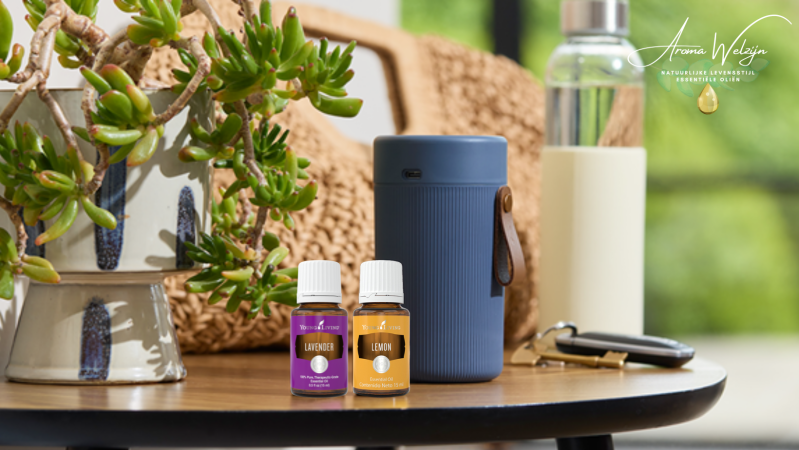 Everyday Favourites Core Starterskit  Aroma Welzijn