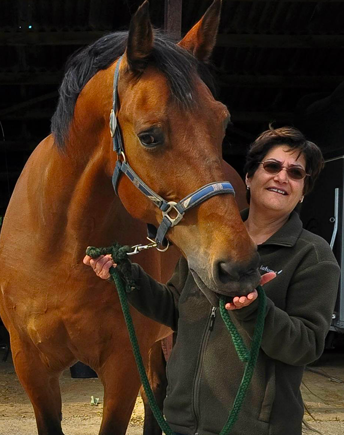 Aromawelzijn | Ingrid De Buyst - Essentiële oliën en paarden