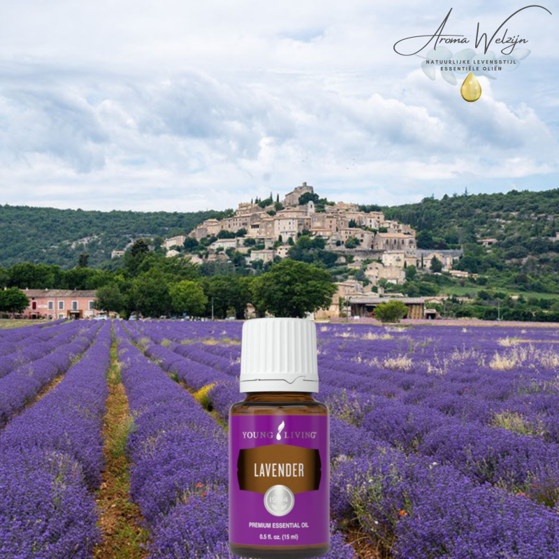 Lavendelolie in lavendelveld Aroma Welzijn