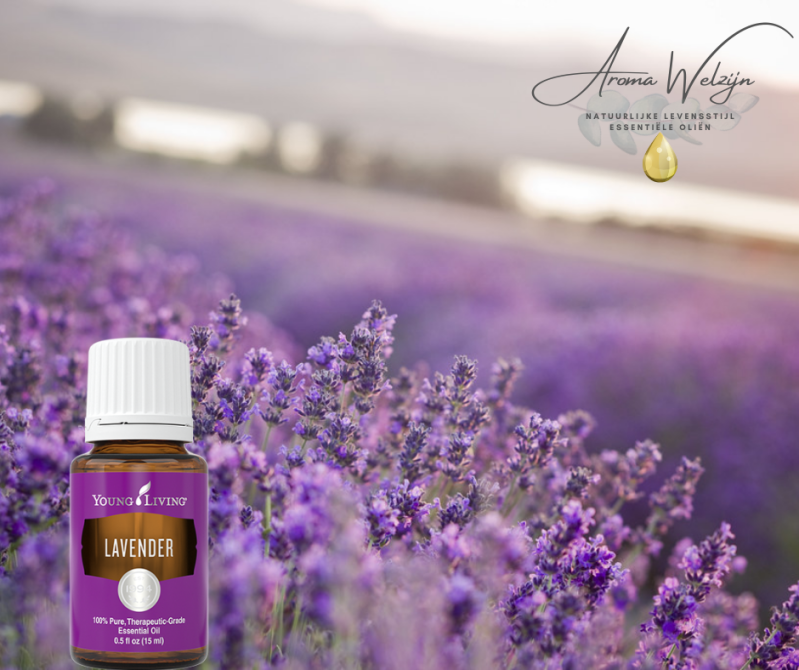 Lavender Simiane-La-Rotonde Aroma Welzijn