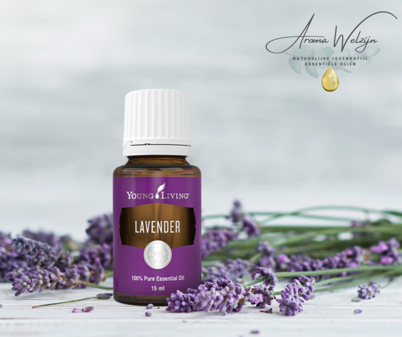 Lavender (Lavandula angustifolia)  Aroma Welzijn
