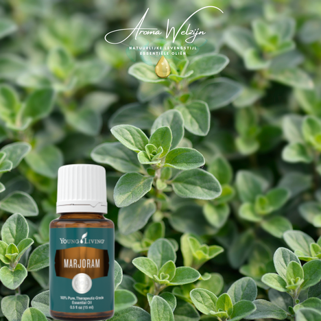 Marjoram Aroma Welzijn