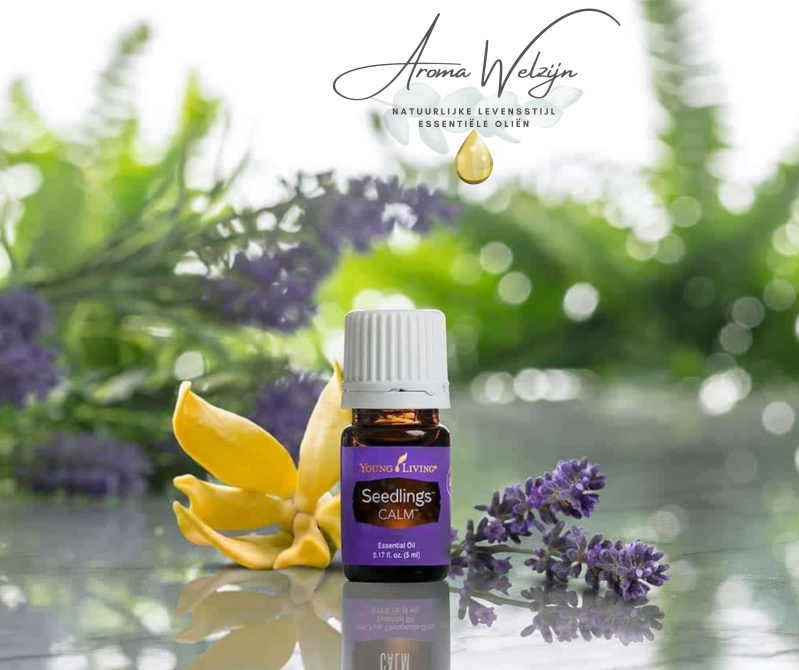 Aromawelzijn | Young Living Seedlings Calm