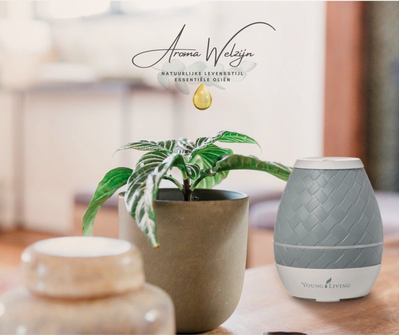 Aromawelzijn | Young Living Sweet Aroma diffuser