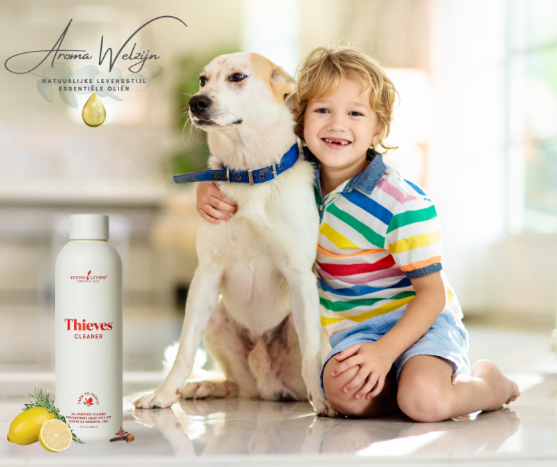 Thieves® Household Cleaner Aroma Welzijn