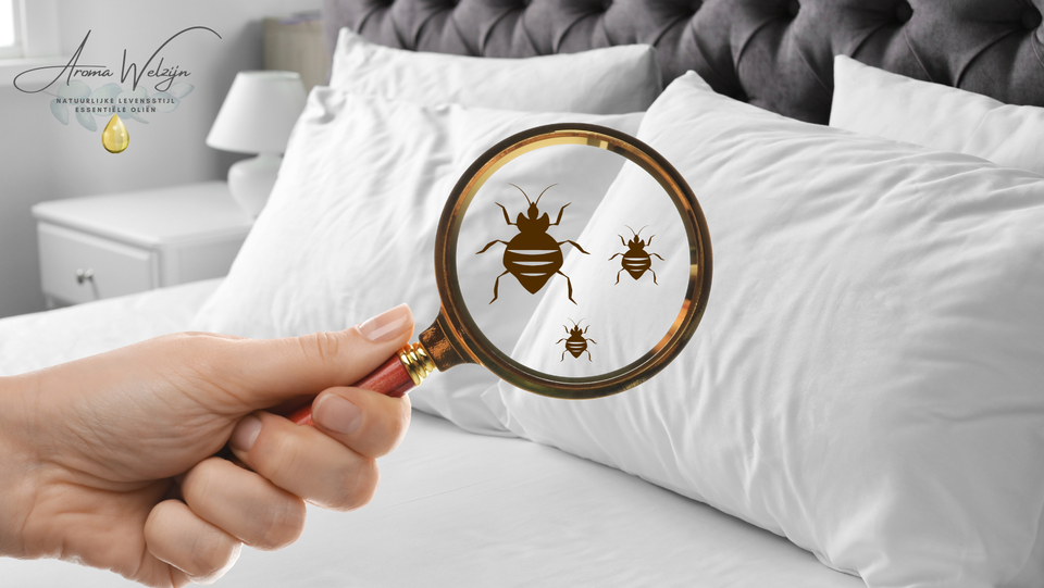 Weet jij wat er in jouw matras leeft?