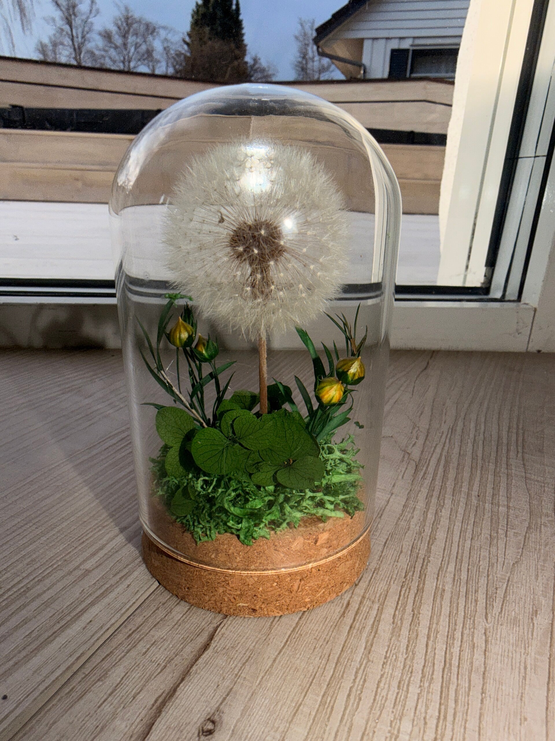 Løvetann i glass kuppel