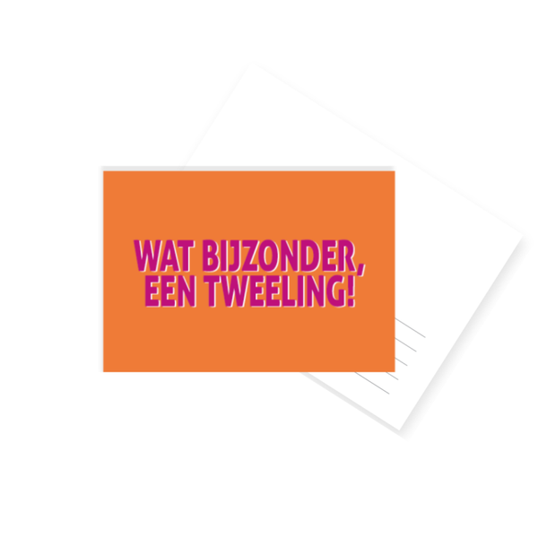 S34. Wat bijzonder, een tweeling!