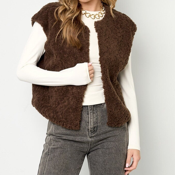 Teddy Gilet | Bruin