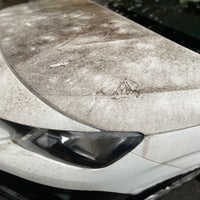 img_8919-standard-lfd1r1.jpg